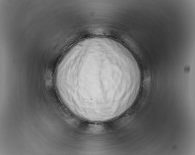 X0000113020469200909171458