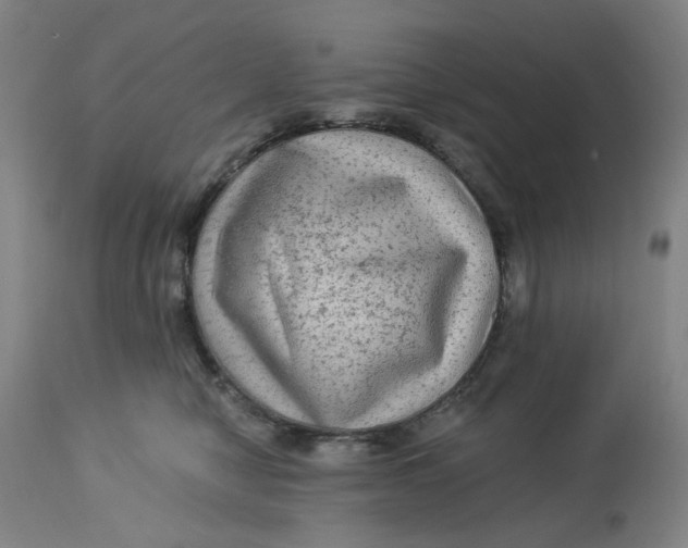 X0000113020470200909171458