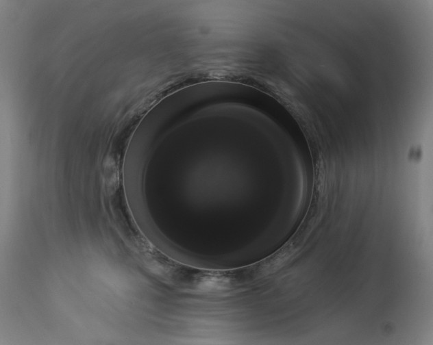 X0000113020471200909171458