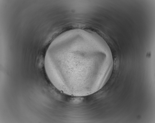 X0000113020474200909171458