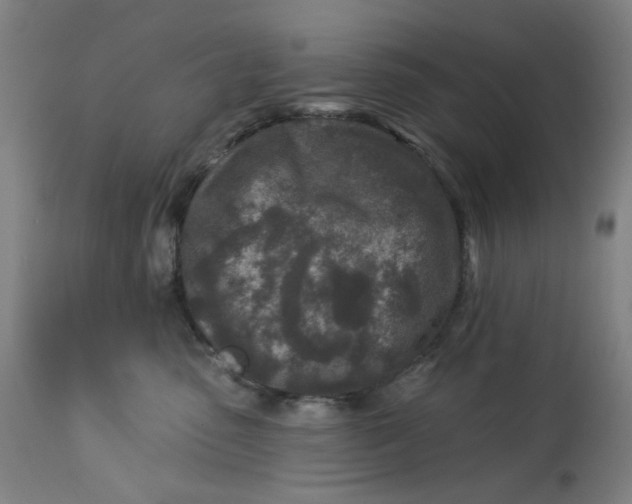 X0000113020475200909171458