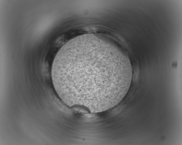 X0000113020477200909171458