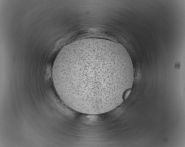 X0000113020478200909171459