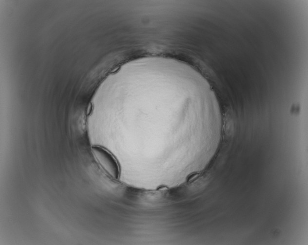 X0000113020479200909171459