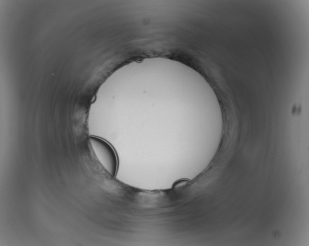 X0000113020480200909171459