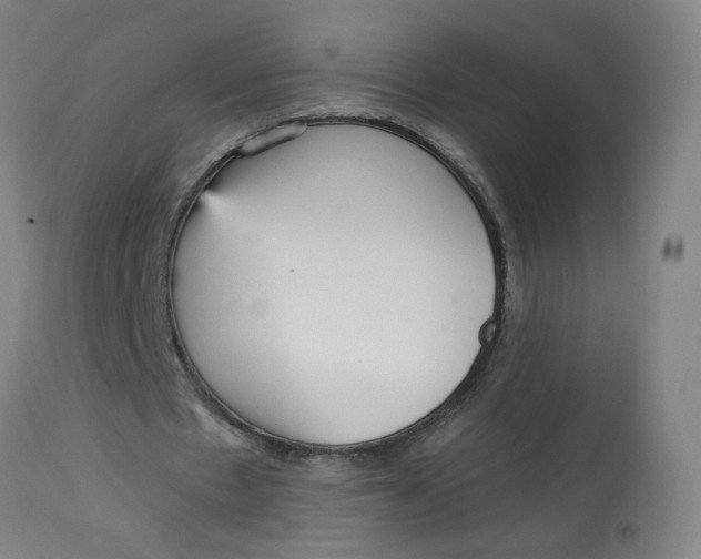 X0000113020481200909171458