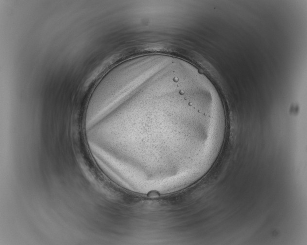 X0000113020482200909171458