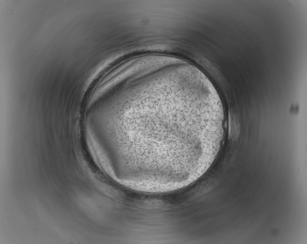 X0000113020483200909171458