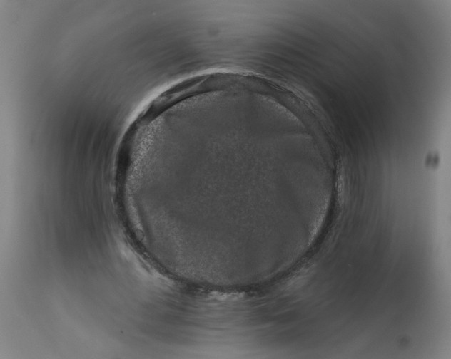 X0000113020484200909171457