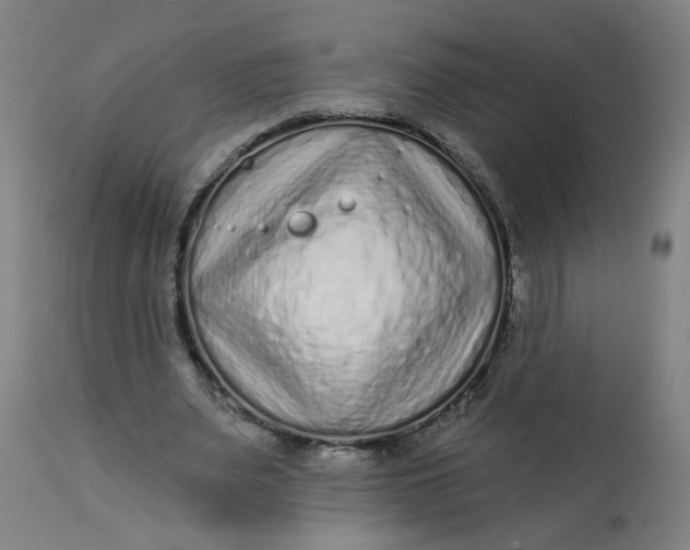 X0000113020487200909171457