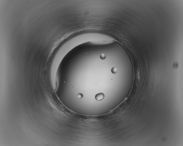 X0000113020492200909171457