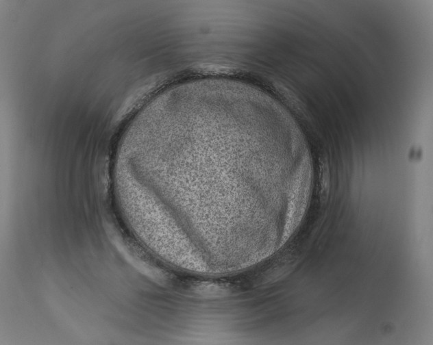 X0000113020494200909171457