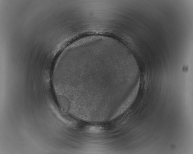 X0000113020500200909171457