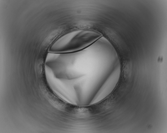 X0000113020501200909171457