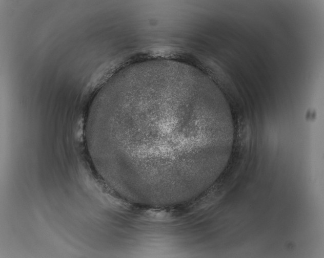 X0000113020502200909171457