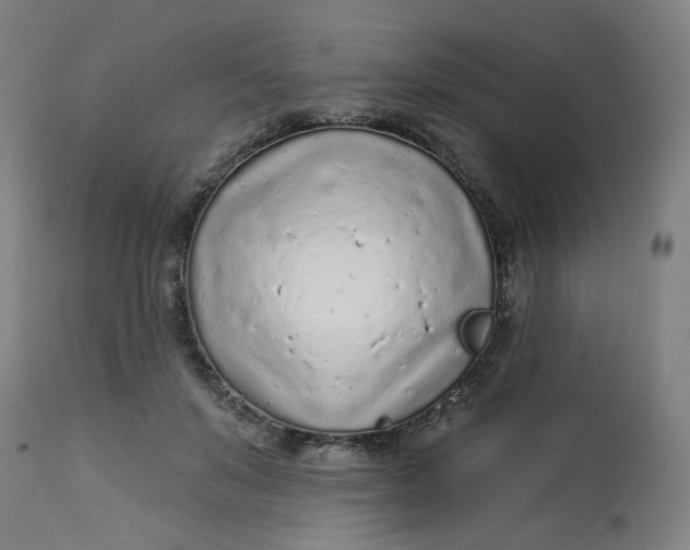 X0000113020503200909171457