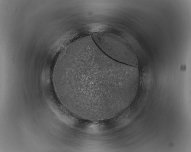 X0000113020504200909171457