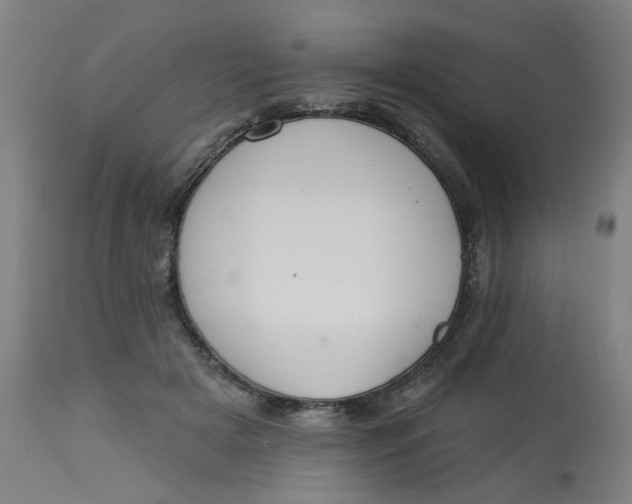 X0000113020505200909171457