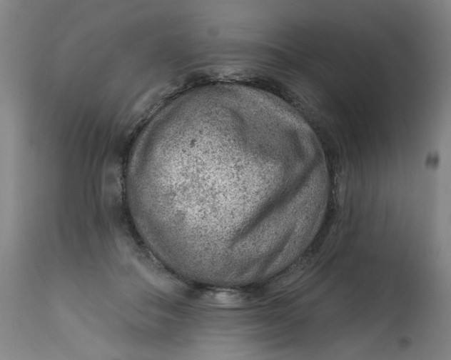 X0000113020506200909171457