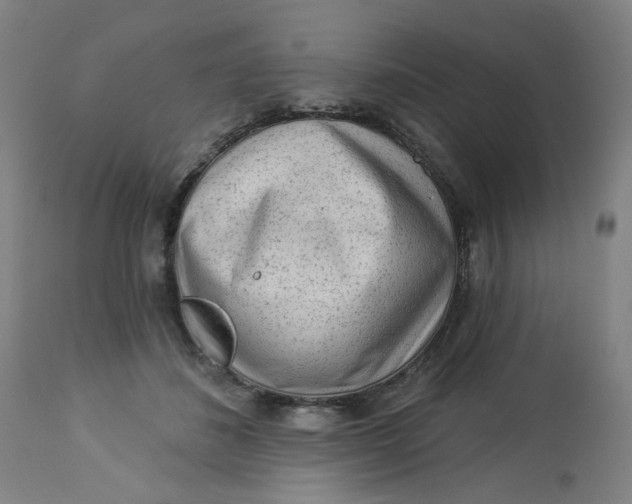 X0000113020508200909171457