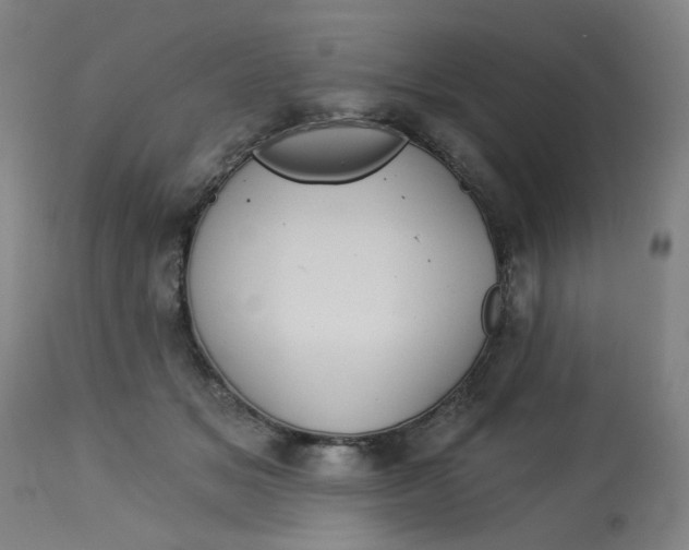 X0000113020509200909171457