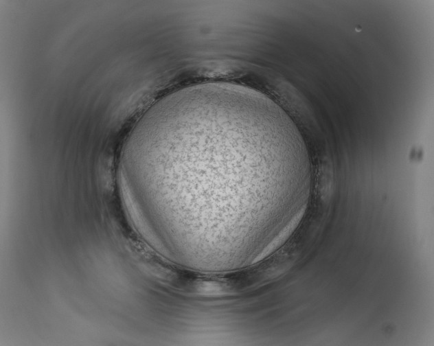 X0000113020510200909171457