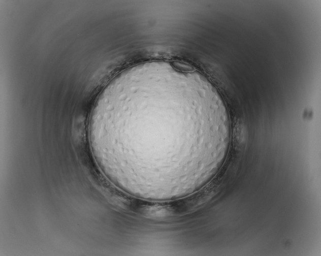 X0000113020511200909171457