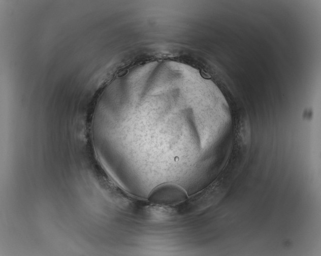 X0000113020512200909171457