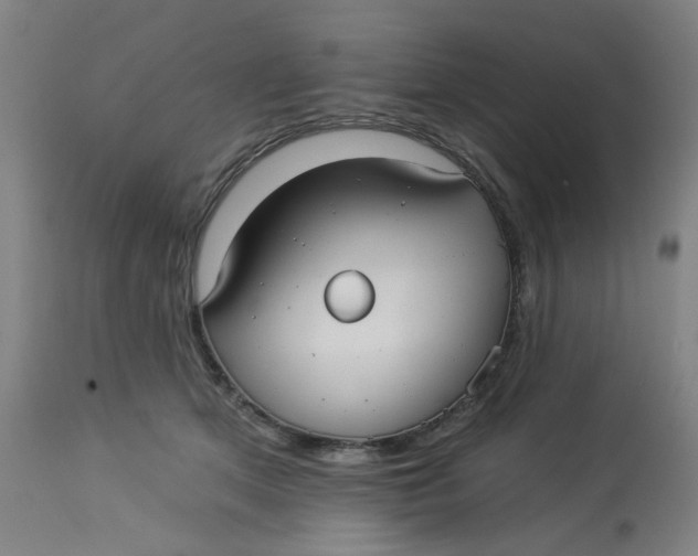 X0000113020513200909171457