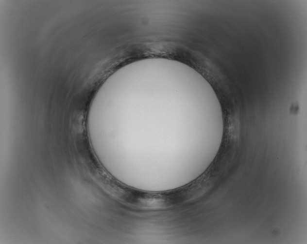 X0000113020514200909171457