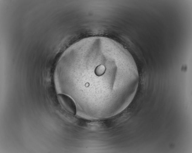 X0000113020516200909171457