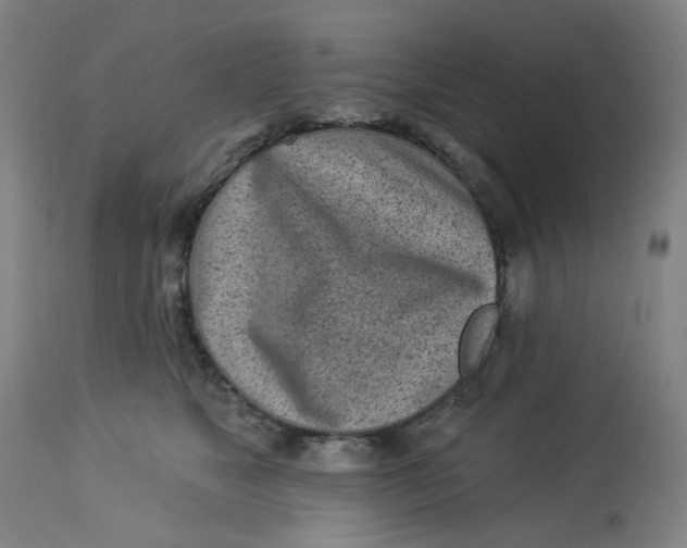 X0000113020517200909171457