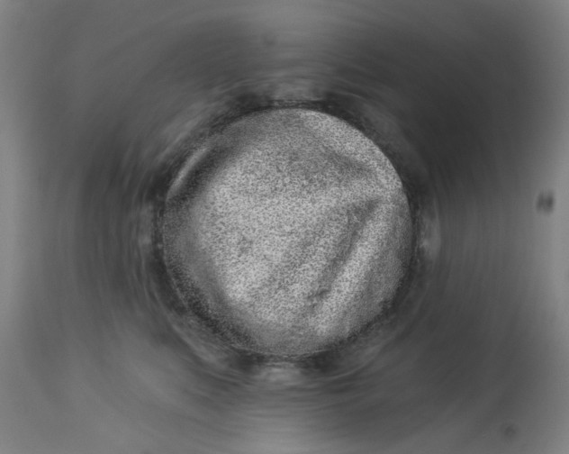 X0000113020519200909171457