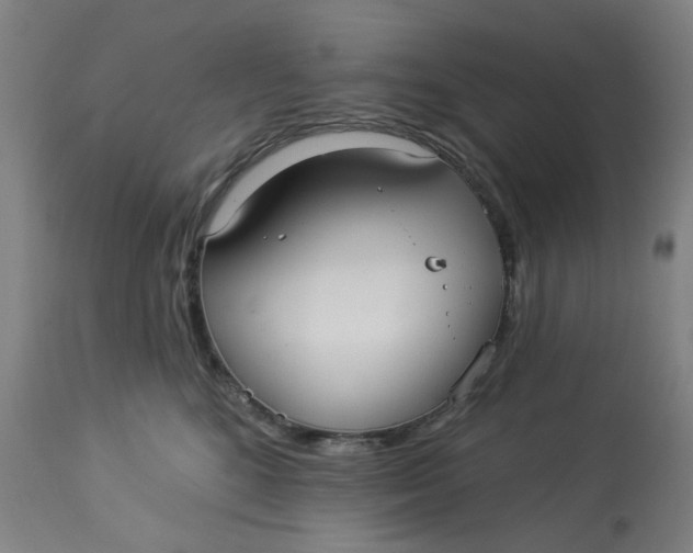 X0000113020520200909171457