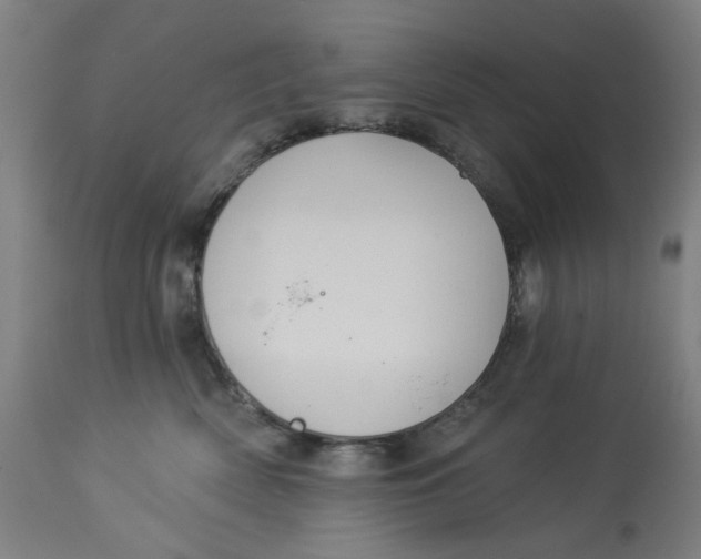 X0000113020522200909171457