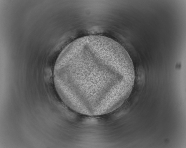 X0000113020523200909171457