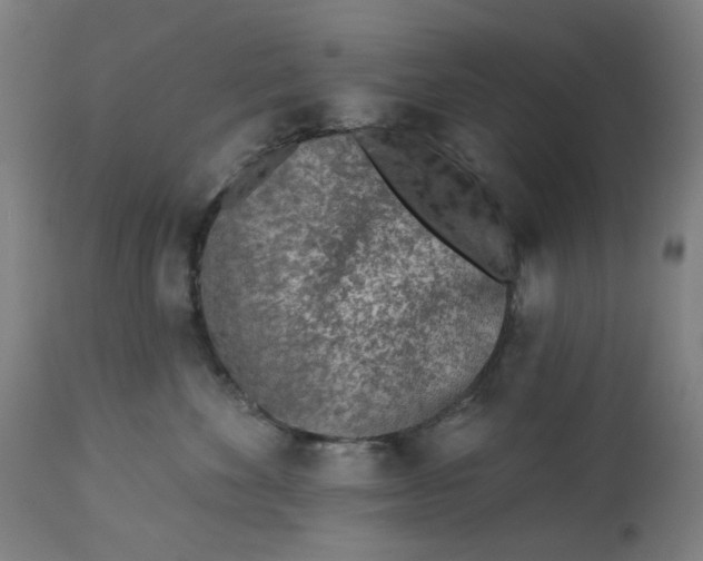 X0000113020524200909171457