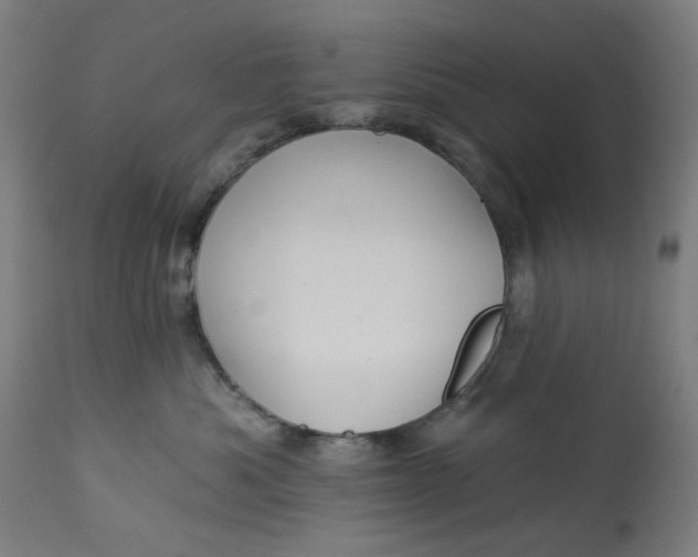 X0000113020525200909171457