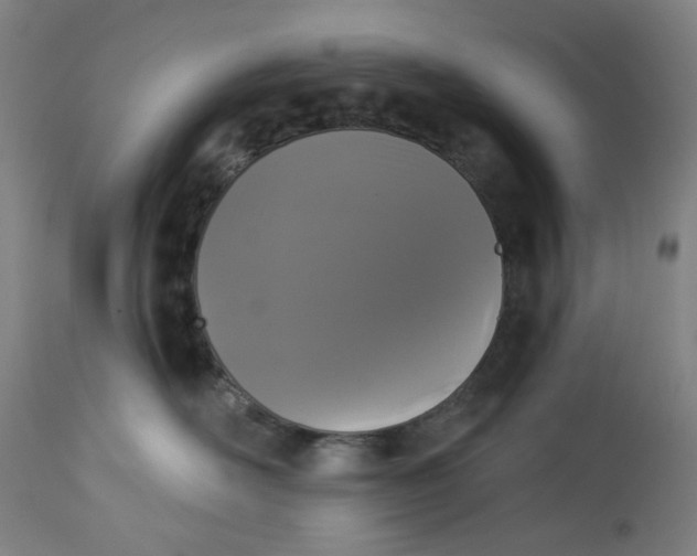 X0000113020526200909171457