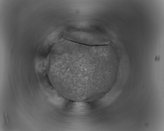 X0000113020528200909171457