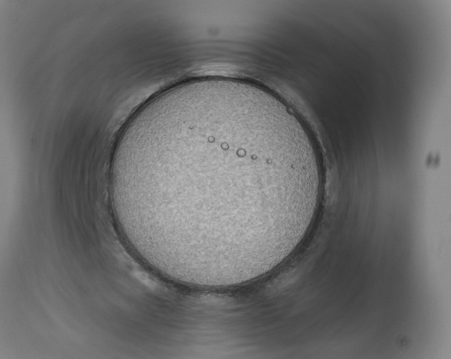 X0000113020529200909171456