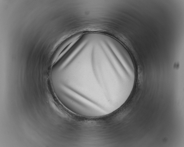 X0000113020530200909171456