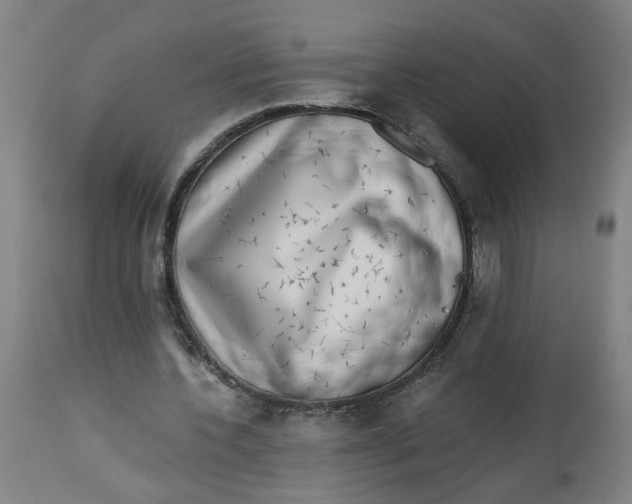 X0000113020532200909171456