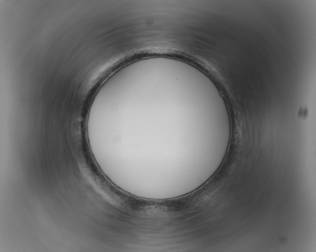 X0000113020535200909171456