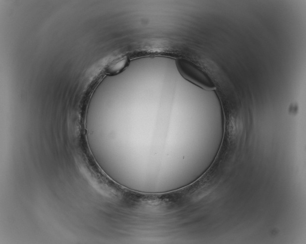 X0000113020540200909171456