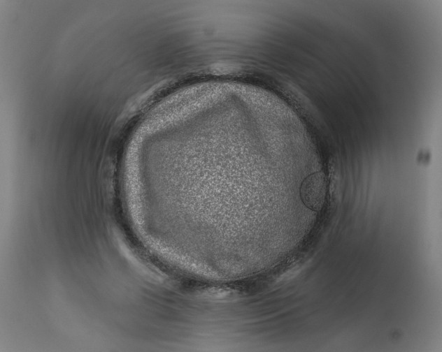 X0000113020542200909171456