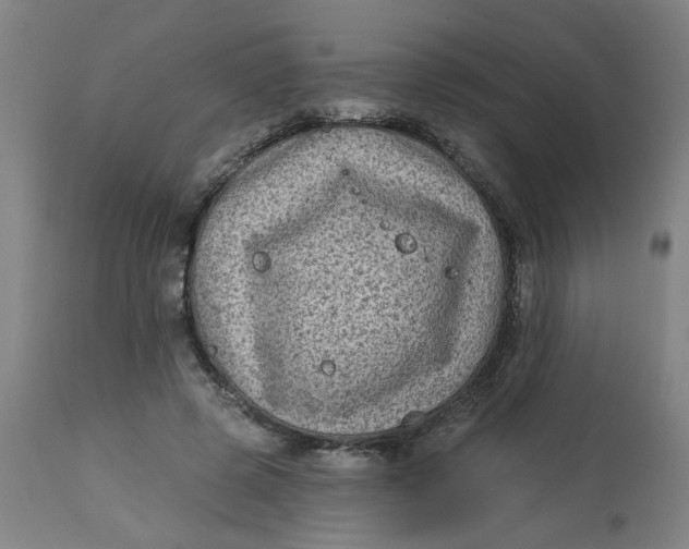 X0000113020545200909171456