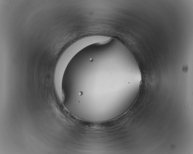 X0000113020546200909171456