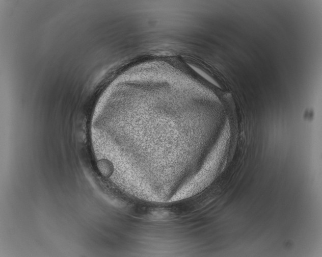 X0000113020547200909171456