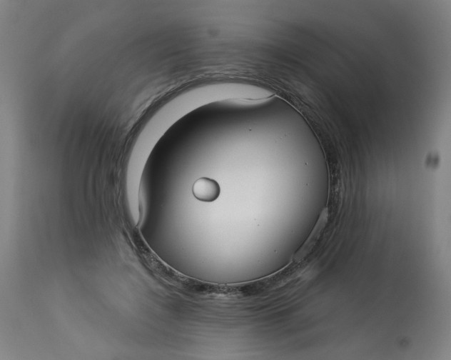 X0000113020548200909171456